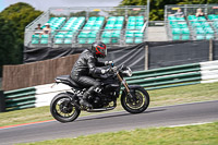 Middle Group Black Bikes